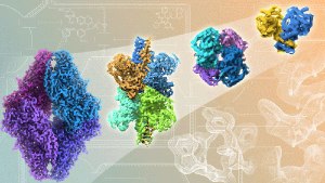 xdh-protein-article